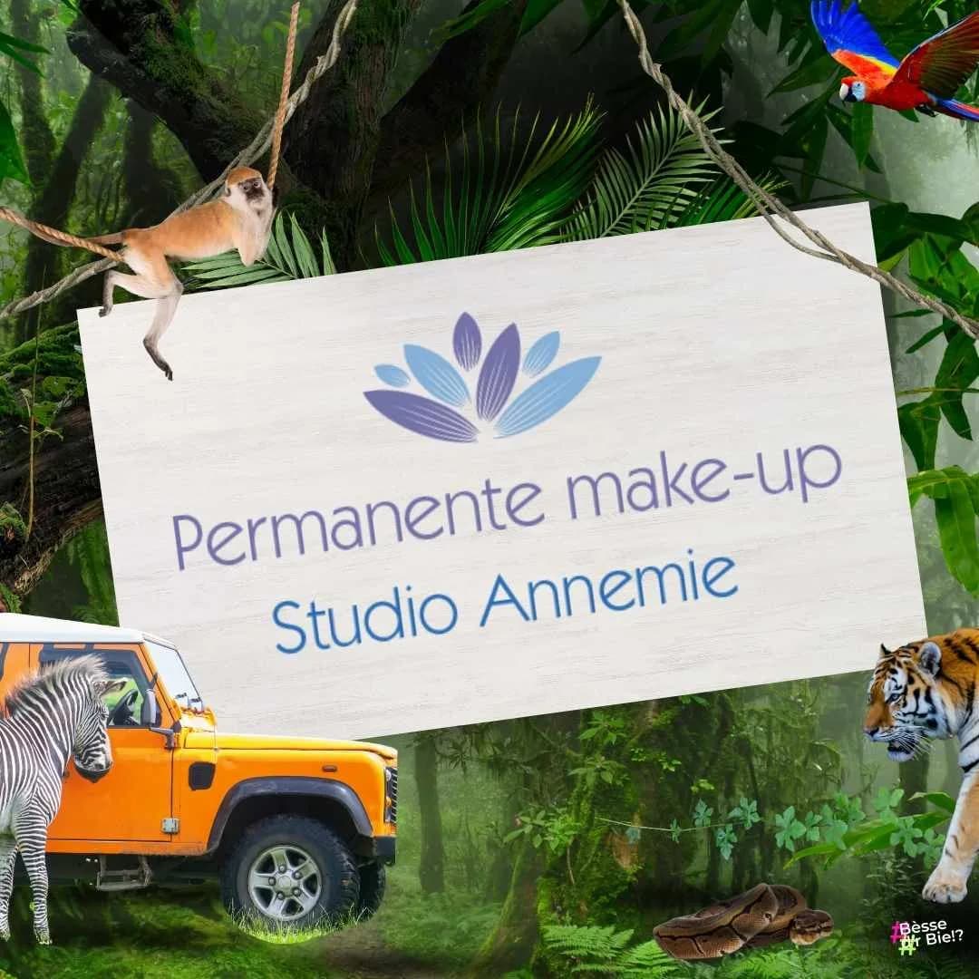 Permanente make-up Studio Annemie