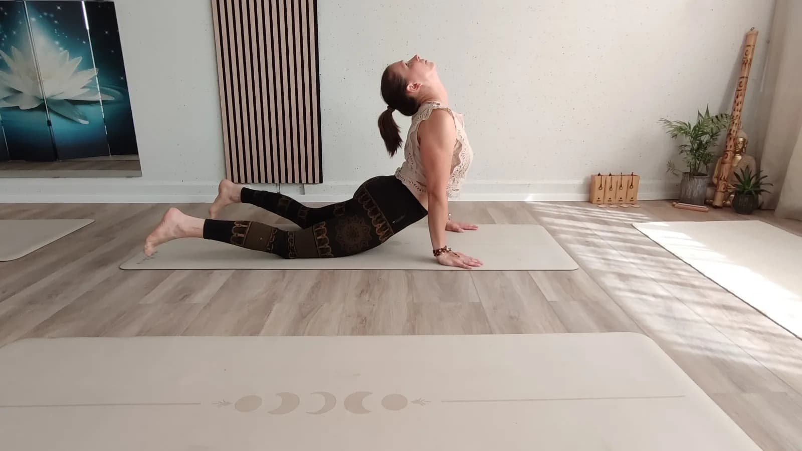 Yogalates (yoga&pilates)