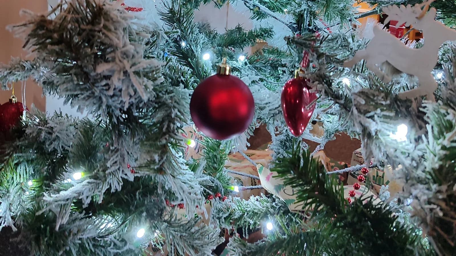 Kerstspecial
