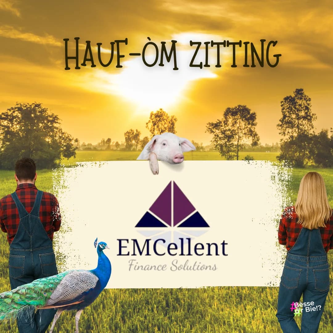 EMCellent Finance Solutions